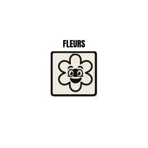 Coques Fleurs